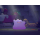 Switch Pokémon Pokopia - 1473172 - zdjęcie 2